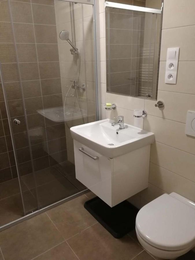 Apartman Praded V Rickach - Ricky V Orlickych Horach 外观 照片