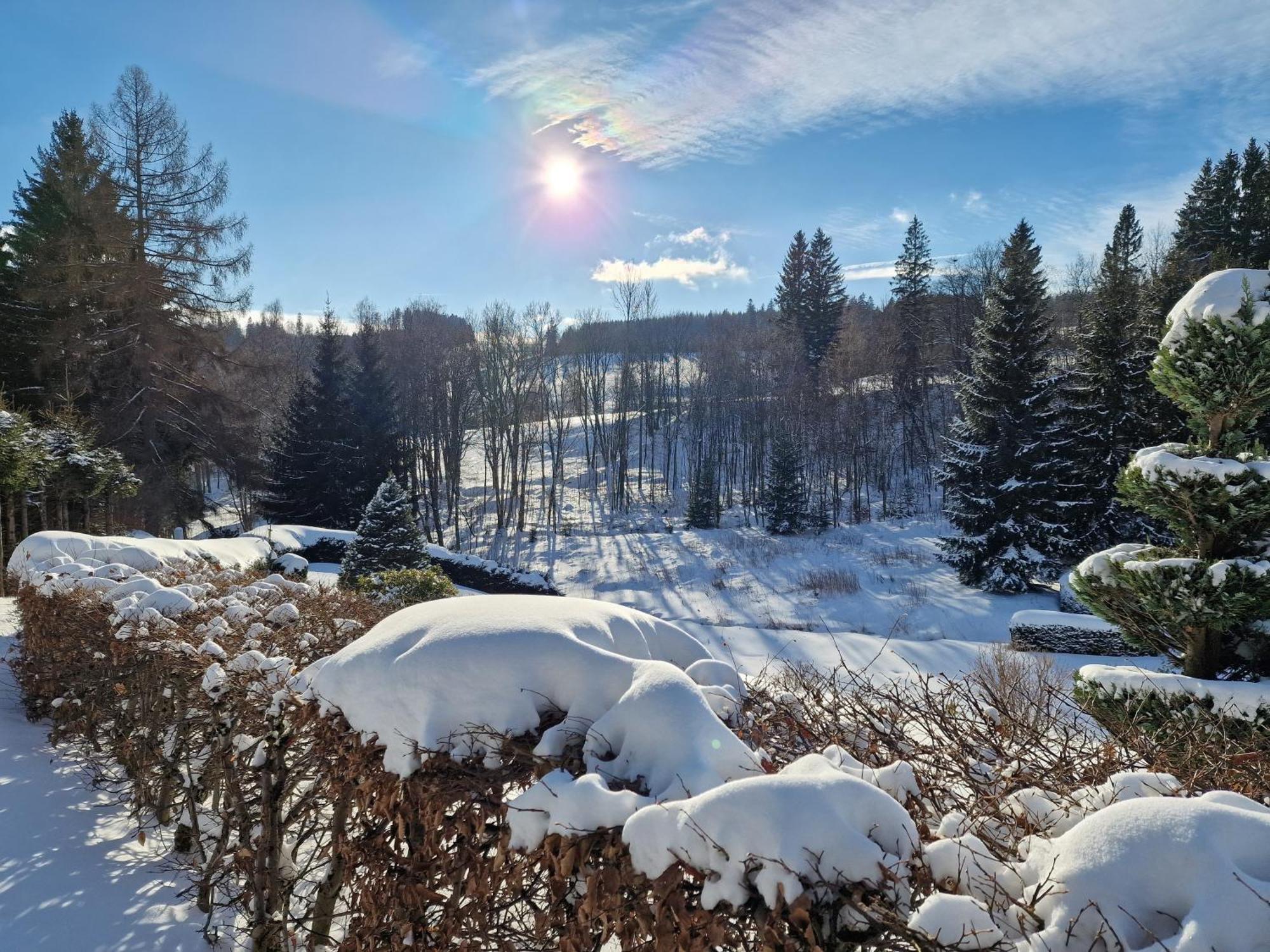 Apartman Praded V Rickach - Ricky V Orlickych Horach 外观 照片